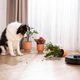 Image for article titled The Best Home Gifts to Keep Every Household Warm and Cozy
